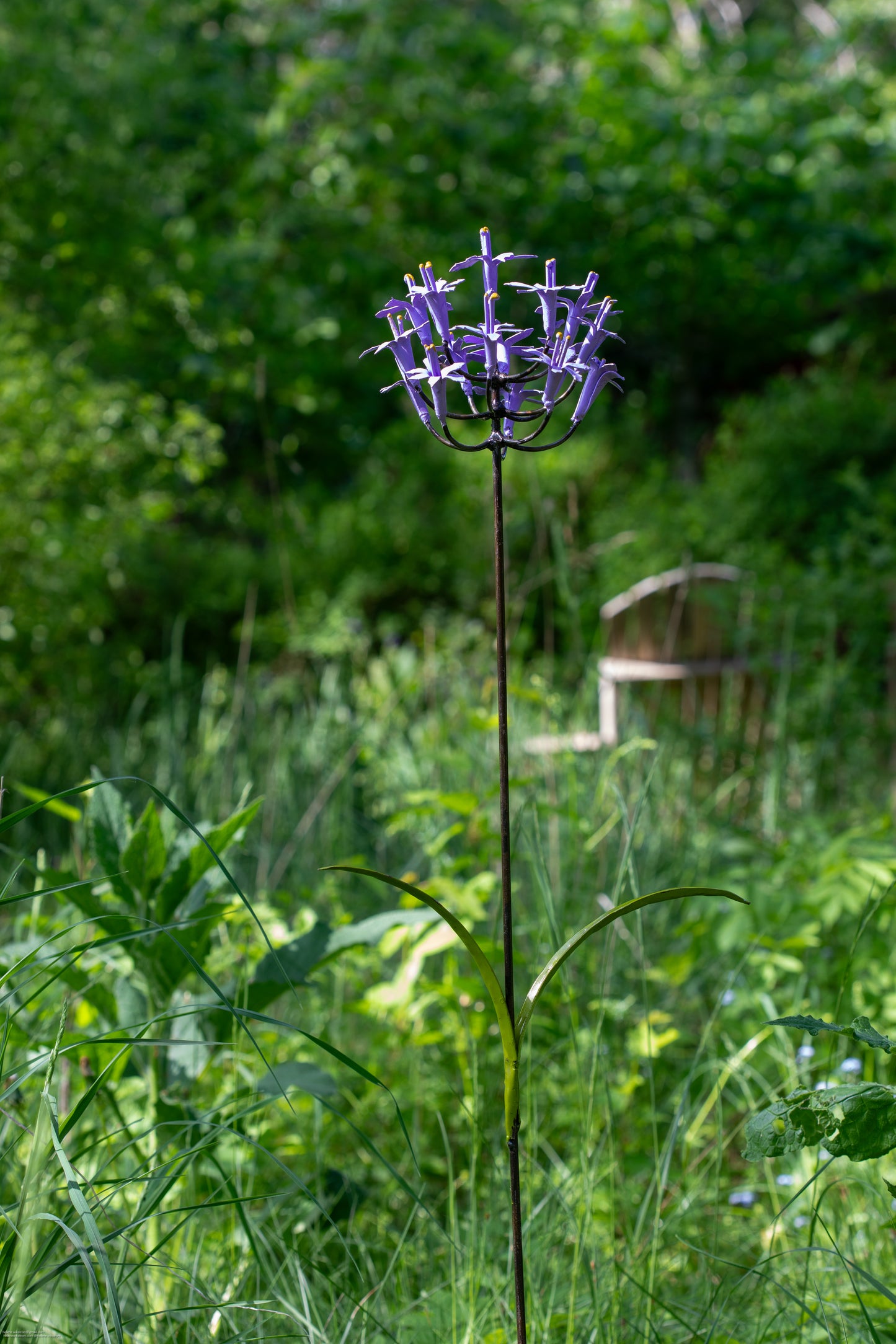 Afrikansk lilja 66 cm återbruk