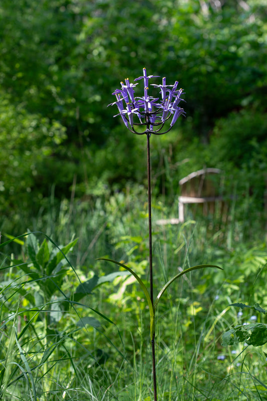 Afrikansk lilja 66 cm återbruk