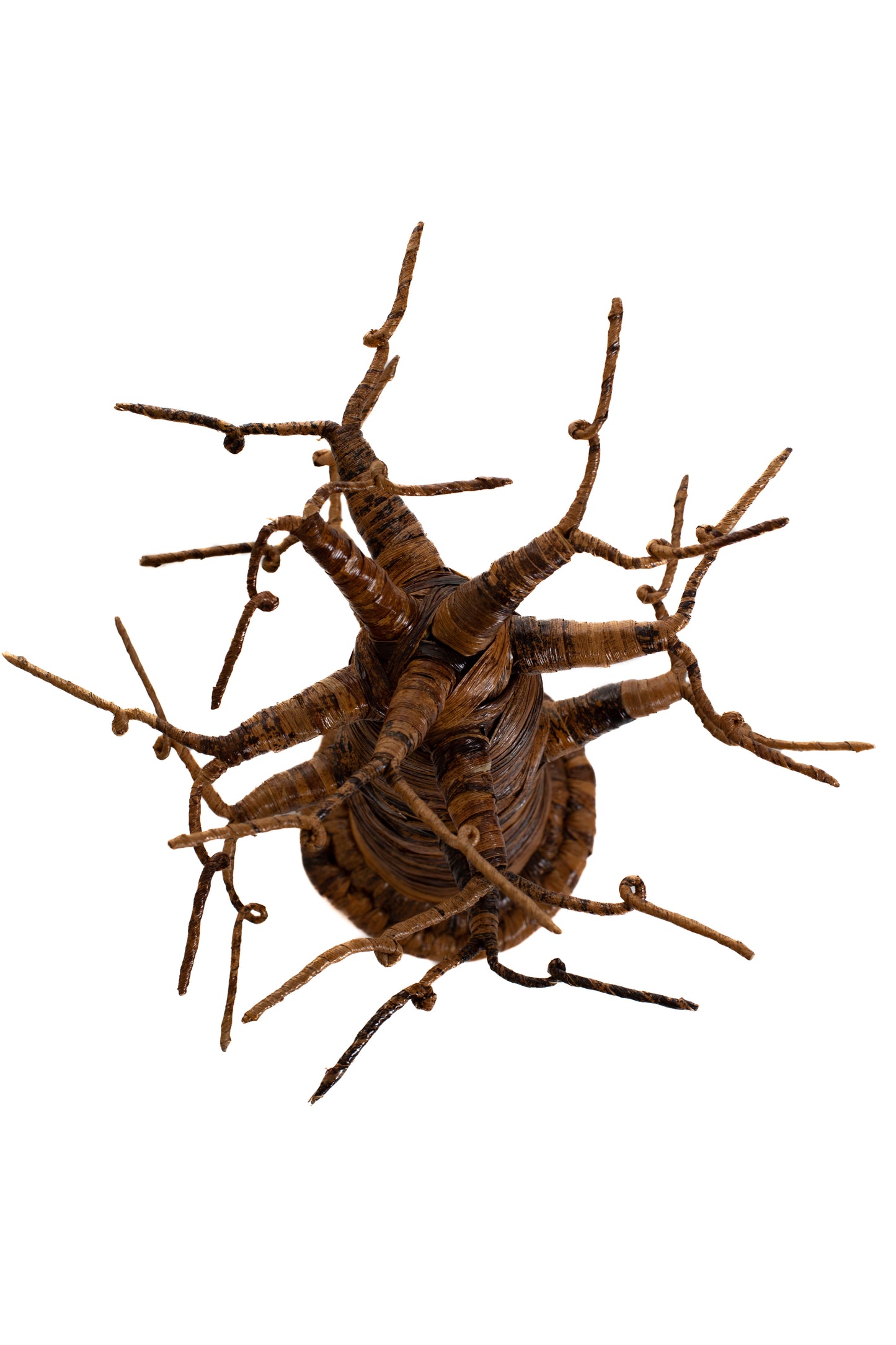 Baobabträd 55 cm bananfiber glesa grenar