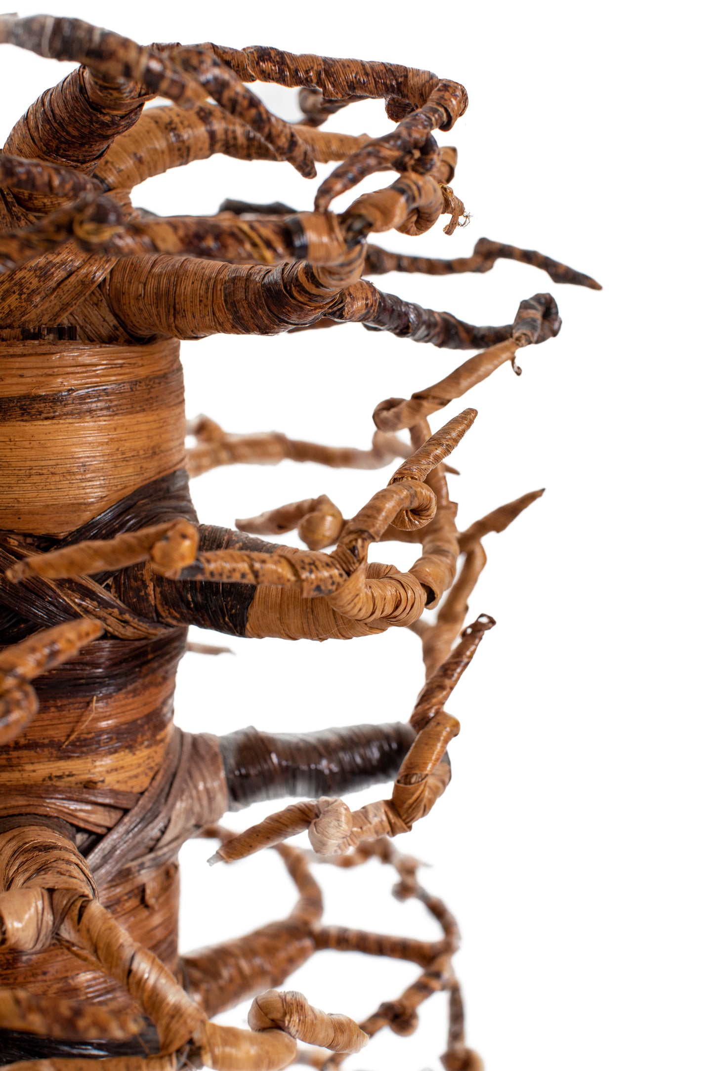 Baobabträd 55 cm bananfiber täta grenar