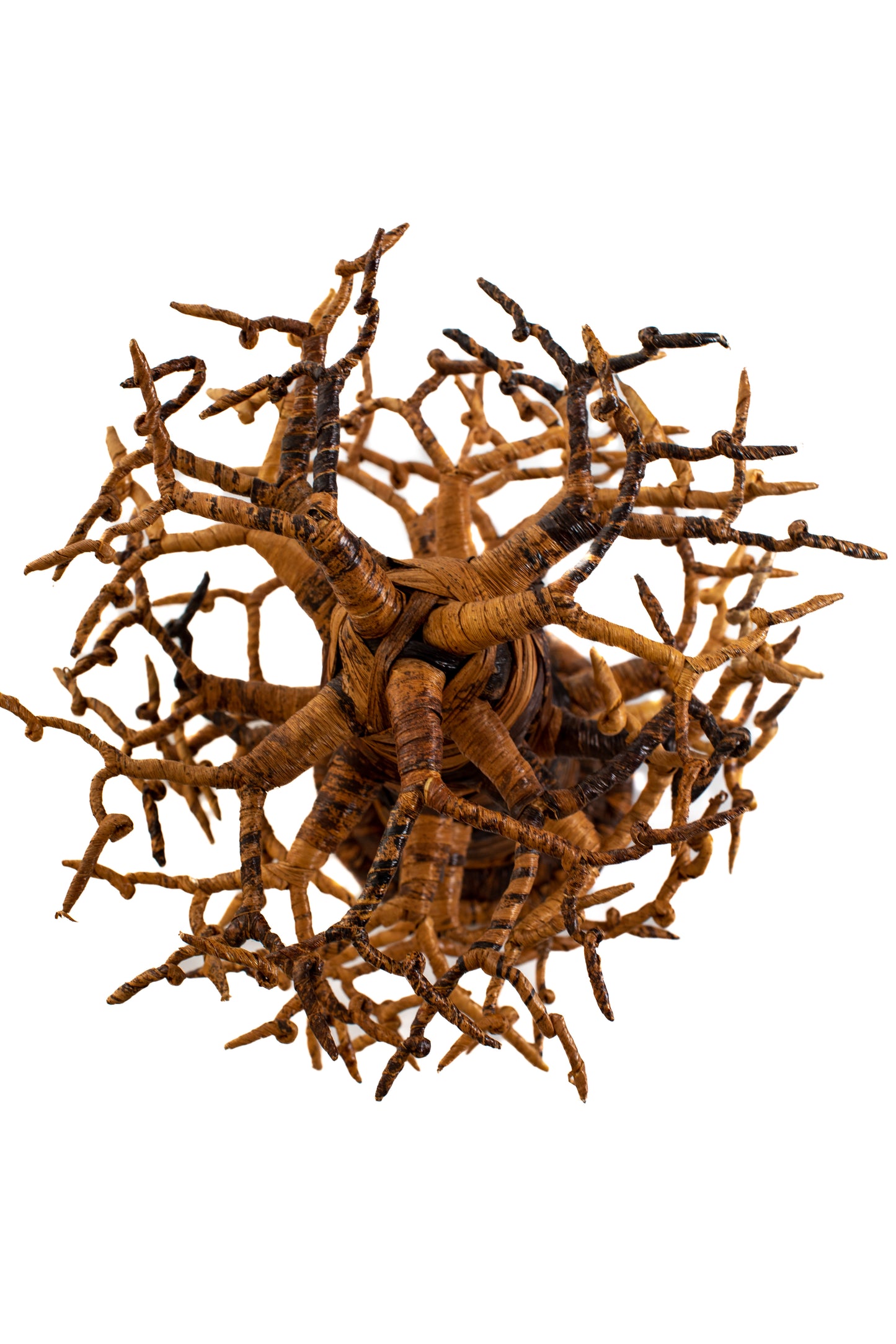 Baobabträd 55 cm bananfiber täta grenar