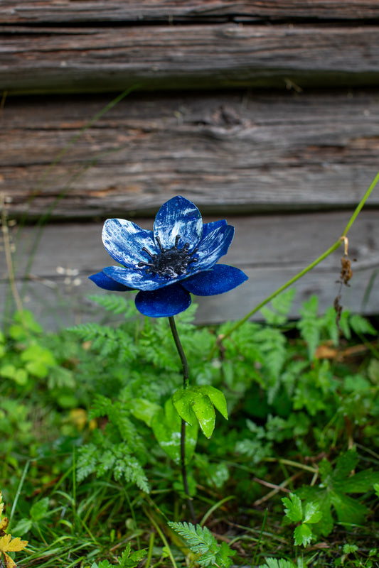 Blå anemon 45 cm återbruk