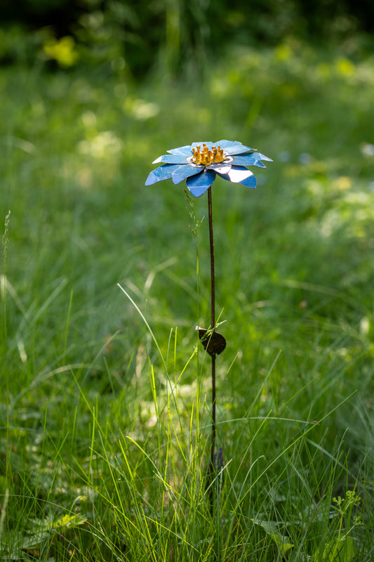 Blå aster 68 cm återbruk
