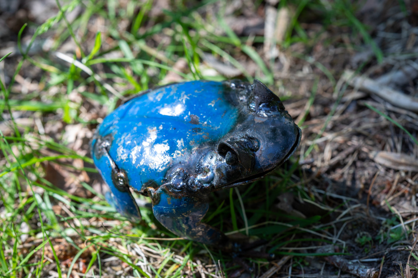 Blå groda 10 cm återbruk