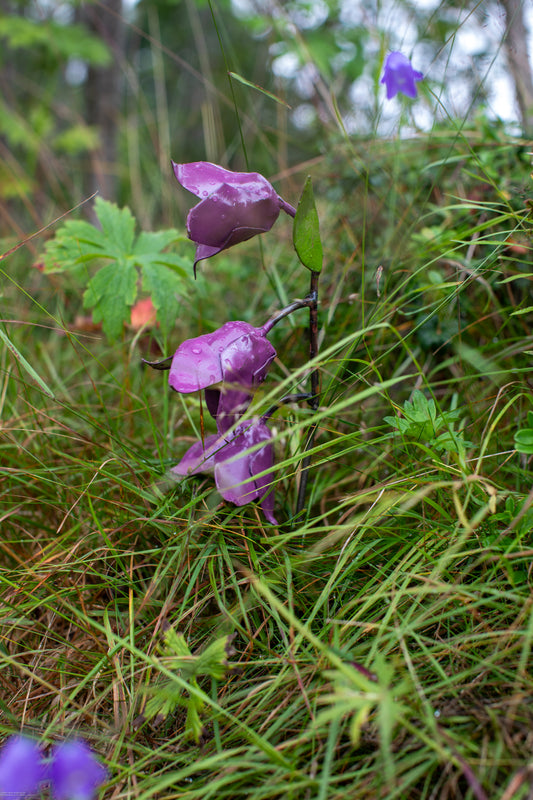 Blåklocka 37 cm återbruk