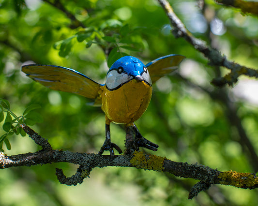 Flygande blåmes 6 cm återbruk