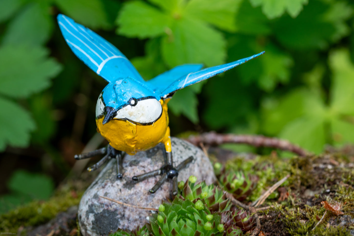 Flygande blåmes 6 cm återbruk