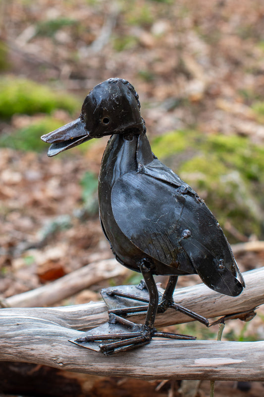 Brun and 17 cm återbruk