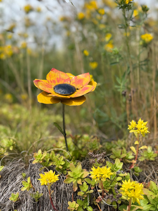 Gul anemon 45 cm återbruk