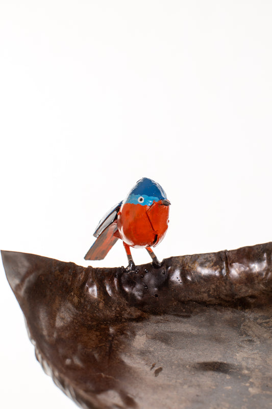 Stående fågelbad blå fåglar återbruk