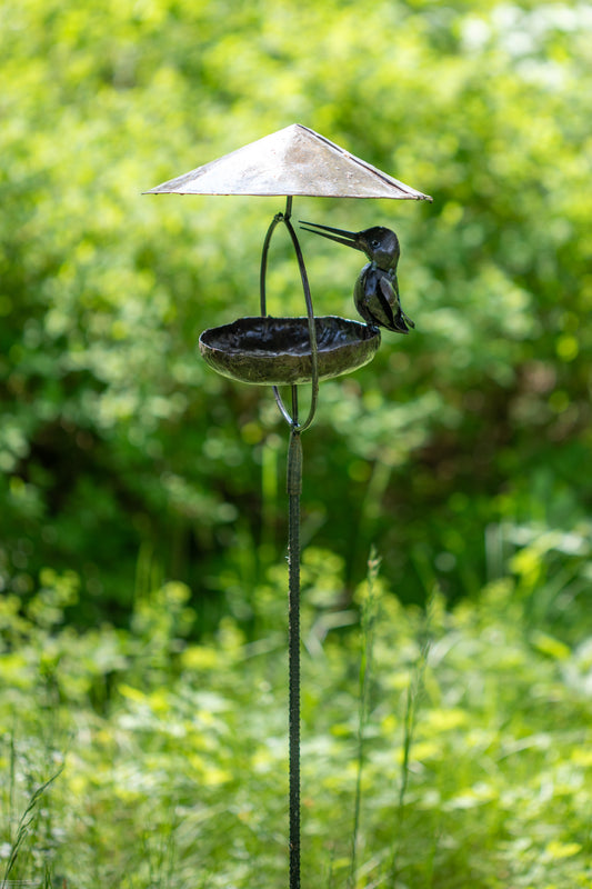 Stående fågelbad med tak brun kungsfiskare fågel återbruk