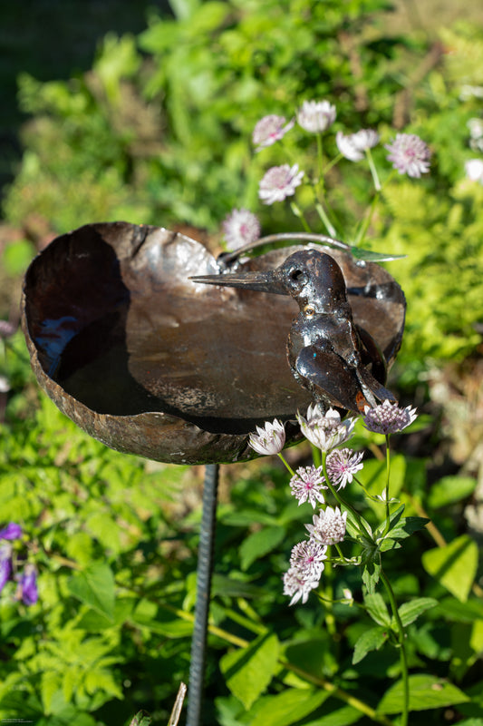 Stående fågelbad brun kungsfiskare återbruk