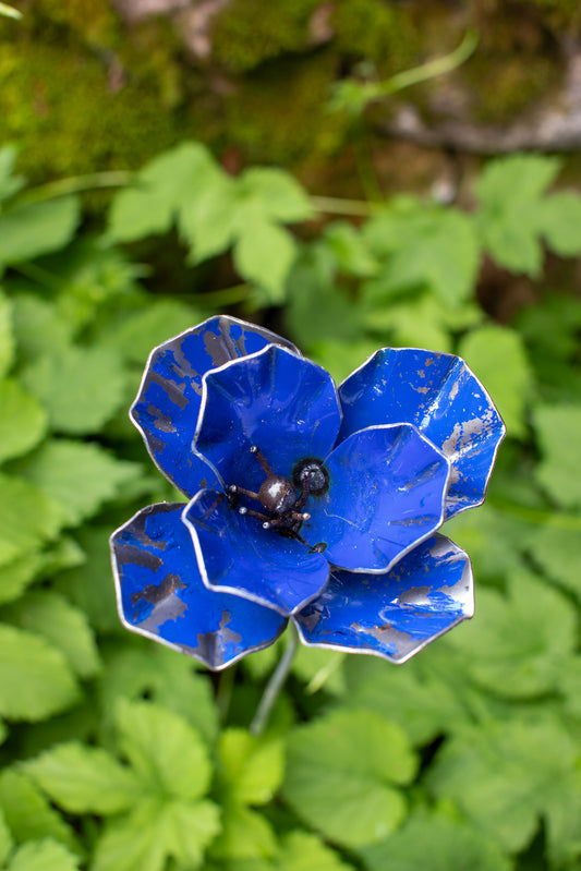 Skrotblå fylld vallmo återbruk