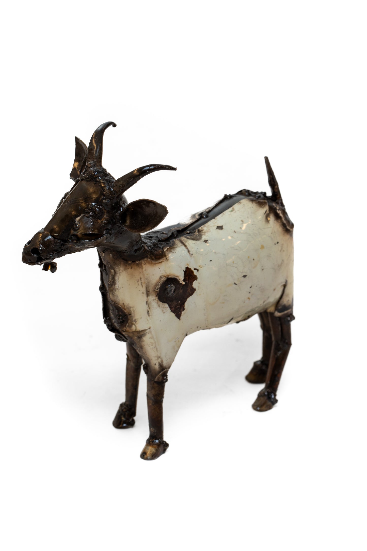 Vit get 22 cm återbruk