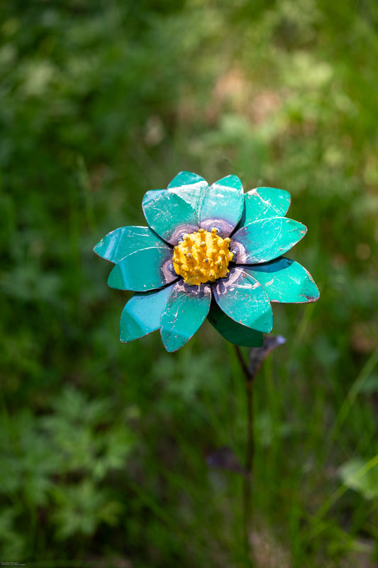 Grön aster 68 cm återbruk