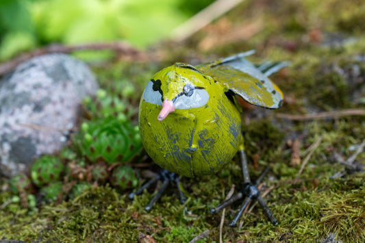 Grönfink 15 cm återbruk