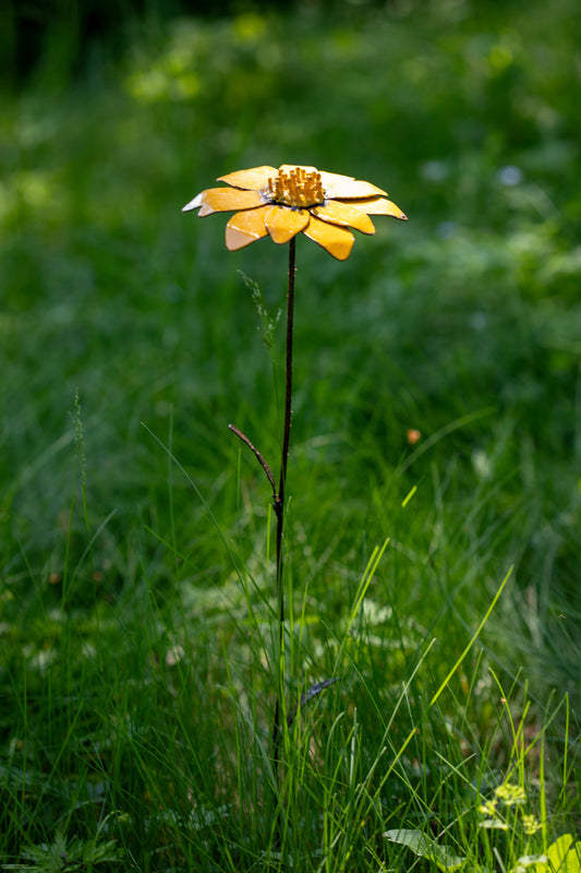 Gul aster 68 cm återbruk
