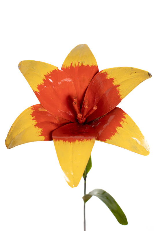 Gul lilja 73 cm återbruk