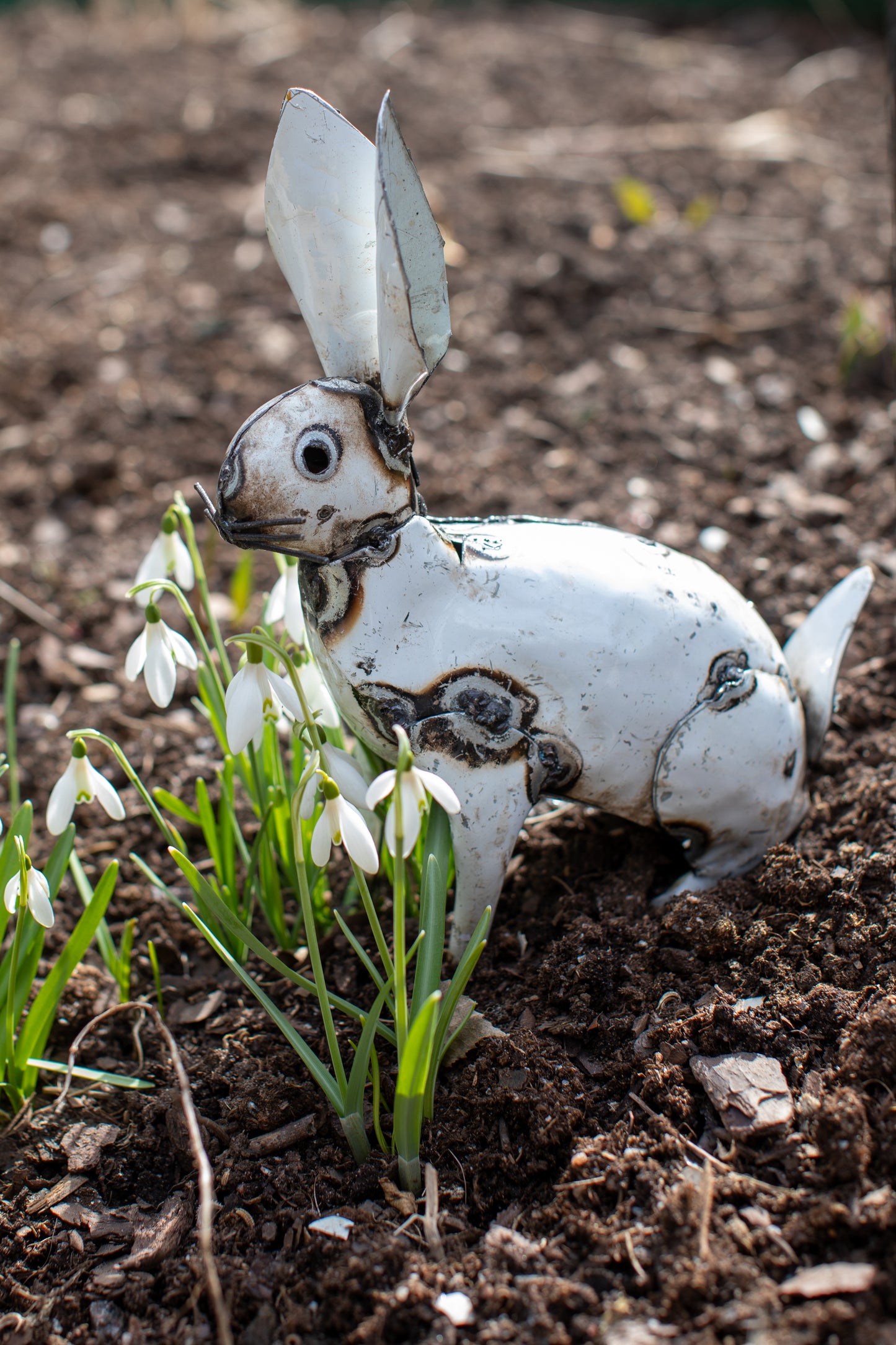 HARE 24 cm återbruk