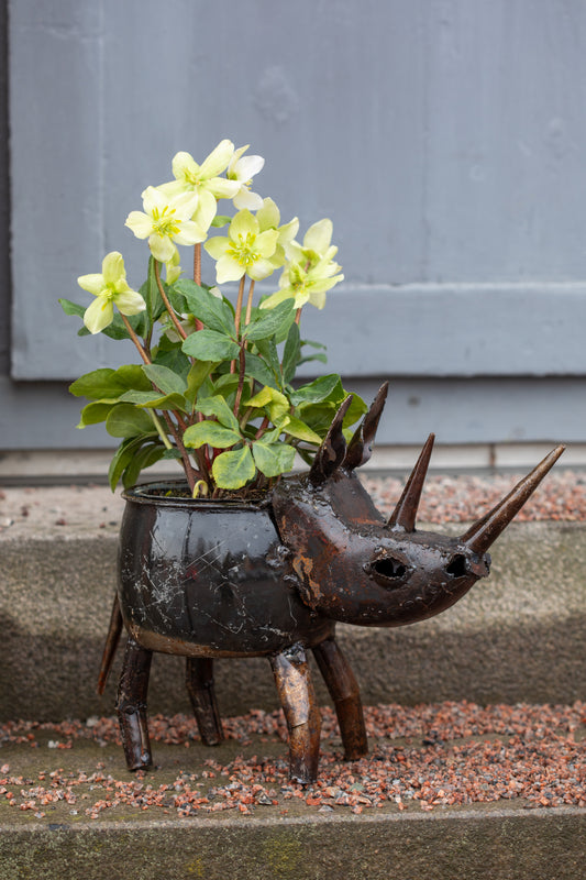 Kruka NOSHÖRNING 25 cm återbruk