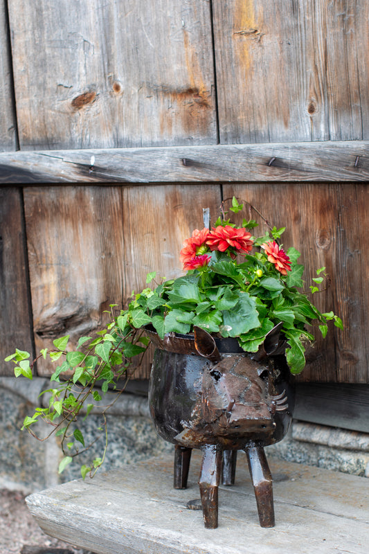 Kruka VÅRTSVIN innerdiameter 14 cm återbruk