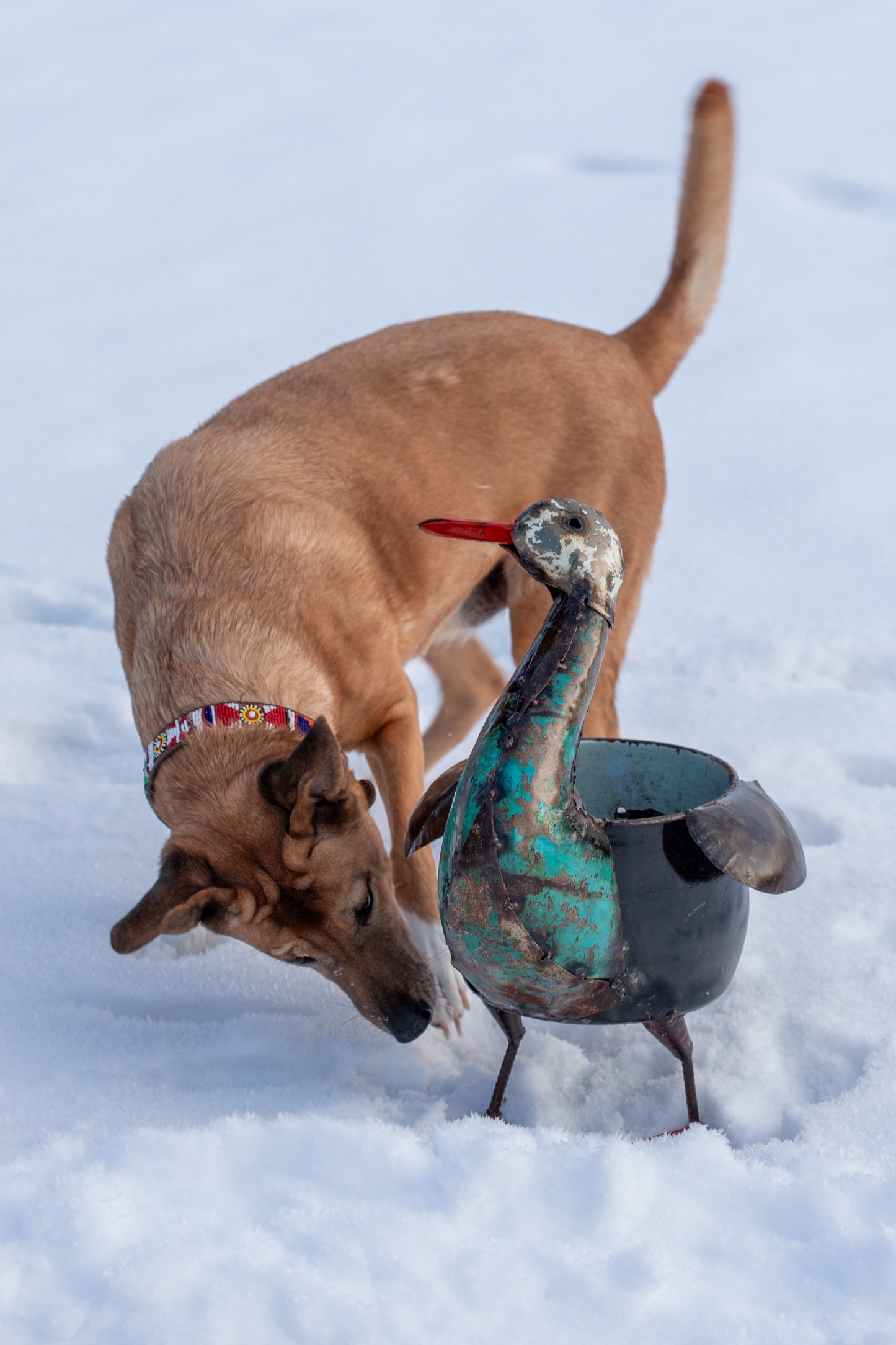 Kruka and 60 cm återbruk