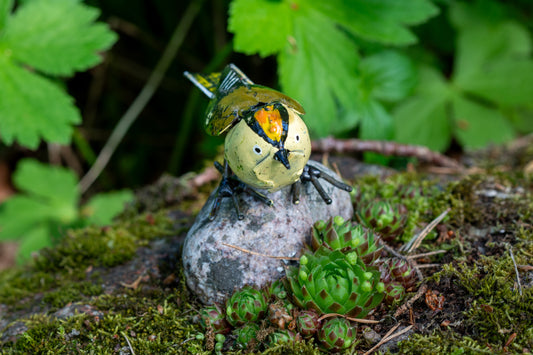 Kungsfågel 10 cm återbruk