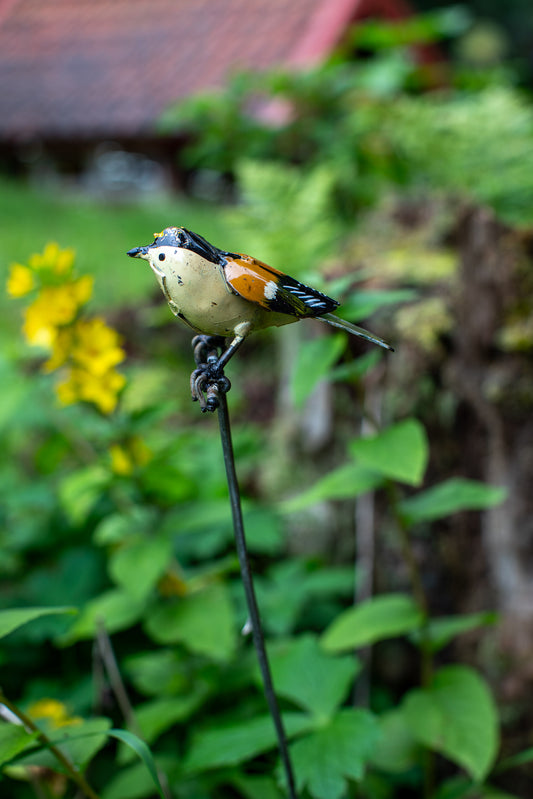 Kungsfågel på pinne återbruk