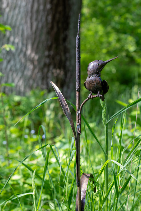 Brun kungsfiskare på kaveldun 110 cm återbruk