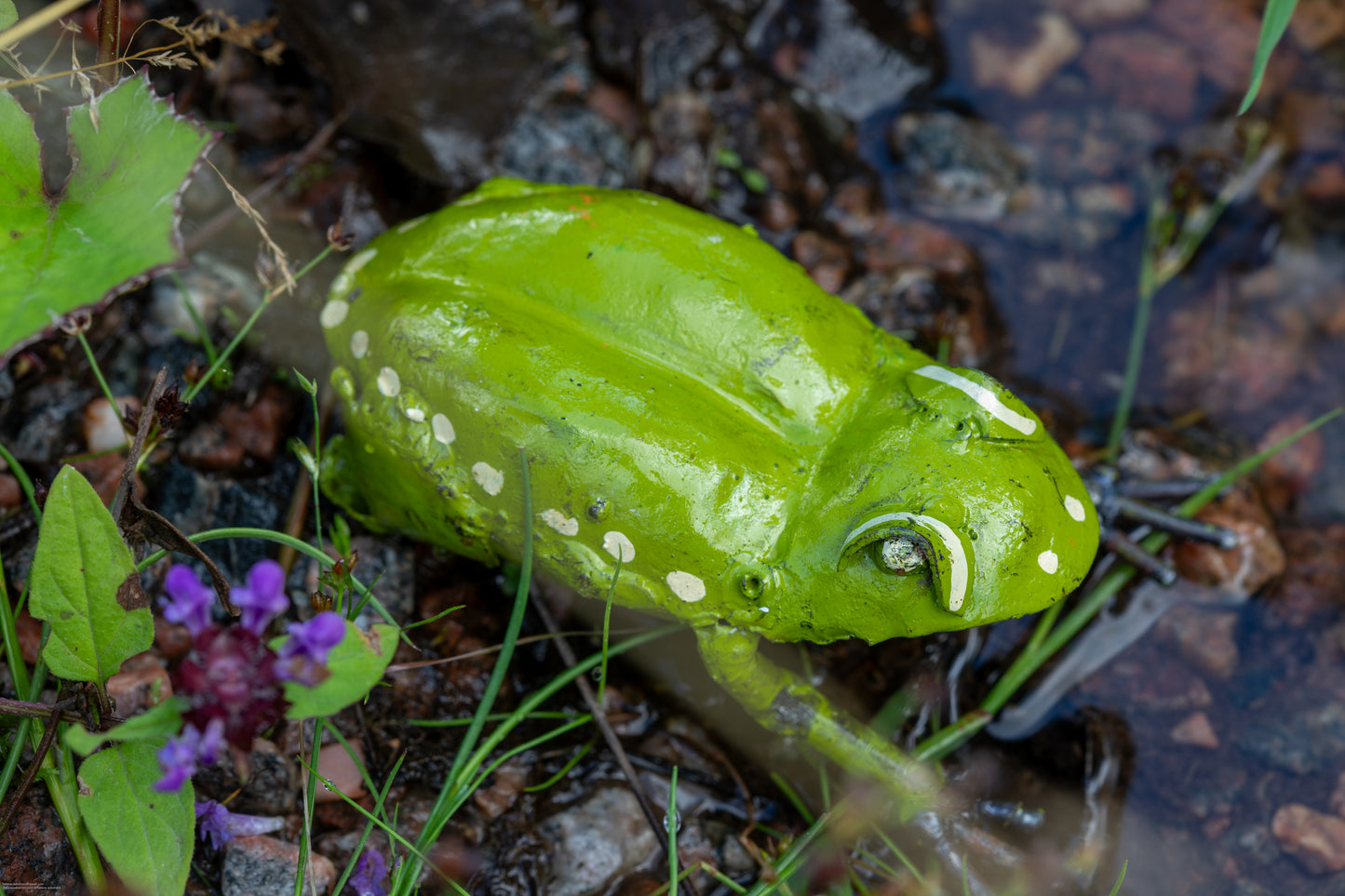Målad groda 10 cm återbruk