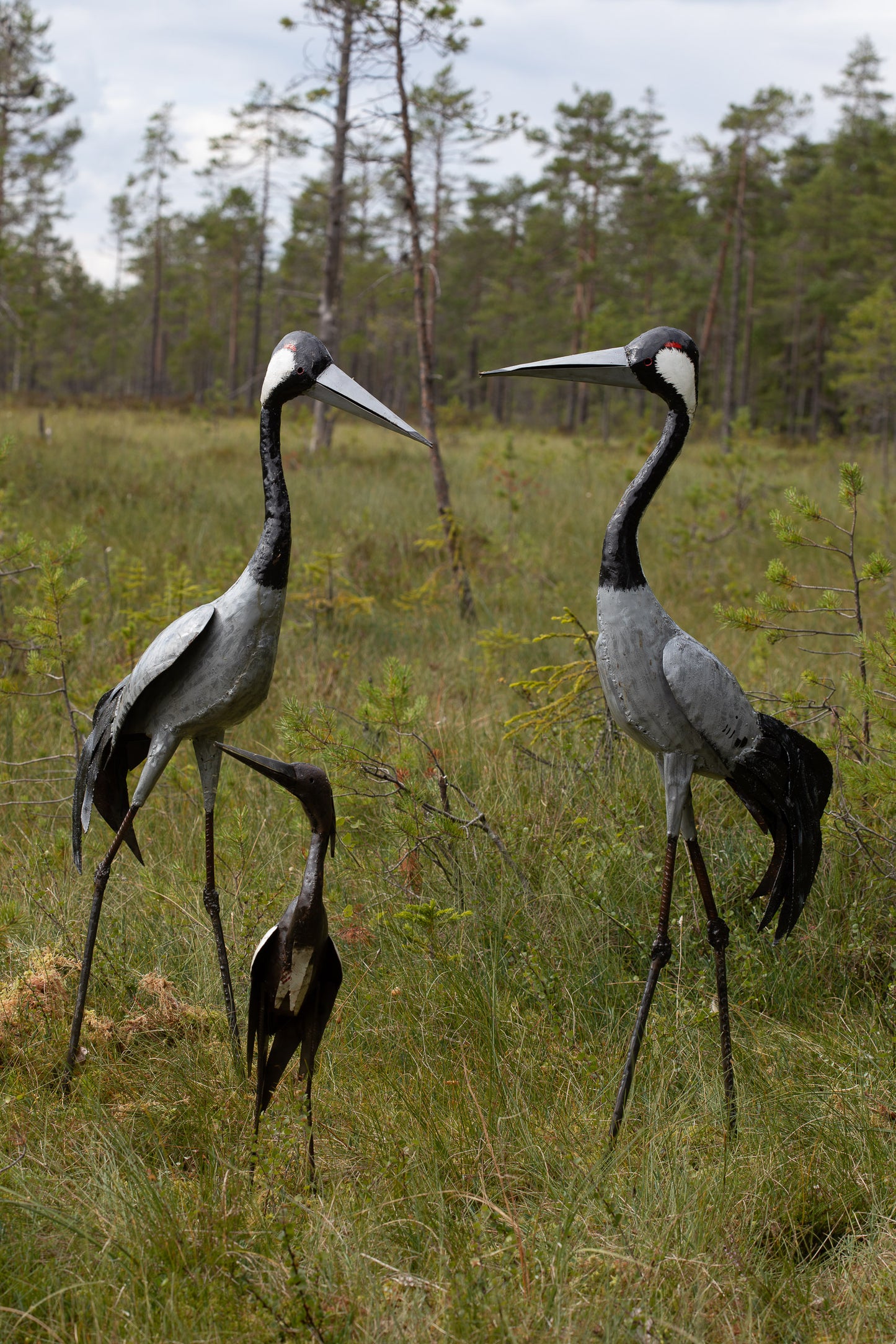 Häger 65 cm återbruk