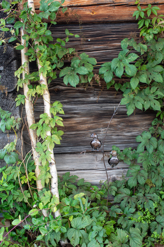 Brun kungsfiskare på gren 94 cm återbruk