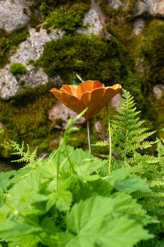 Orange fylld vallmo återbruk