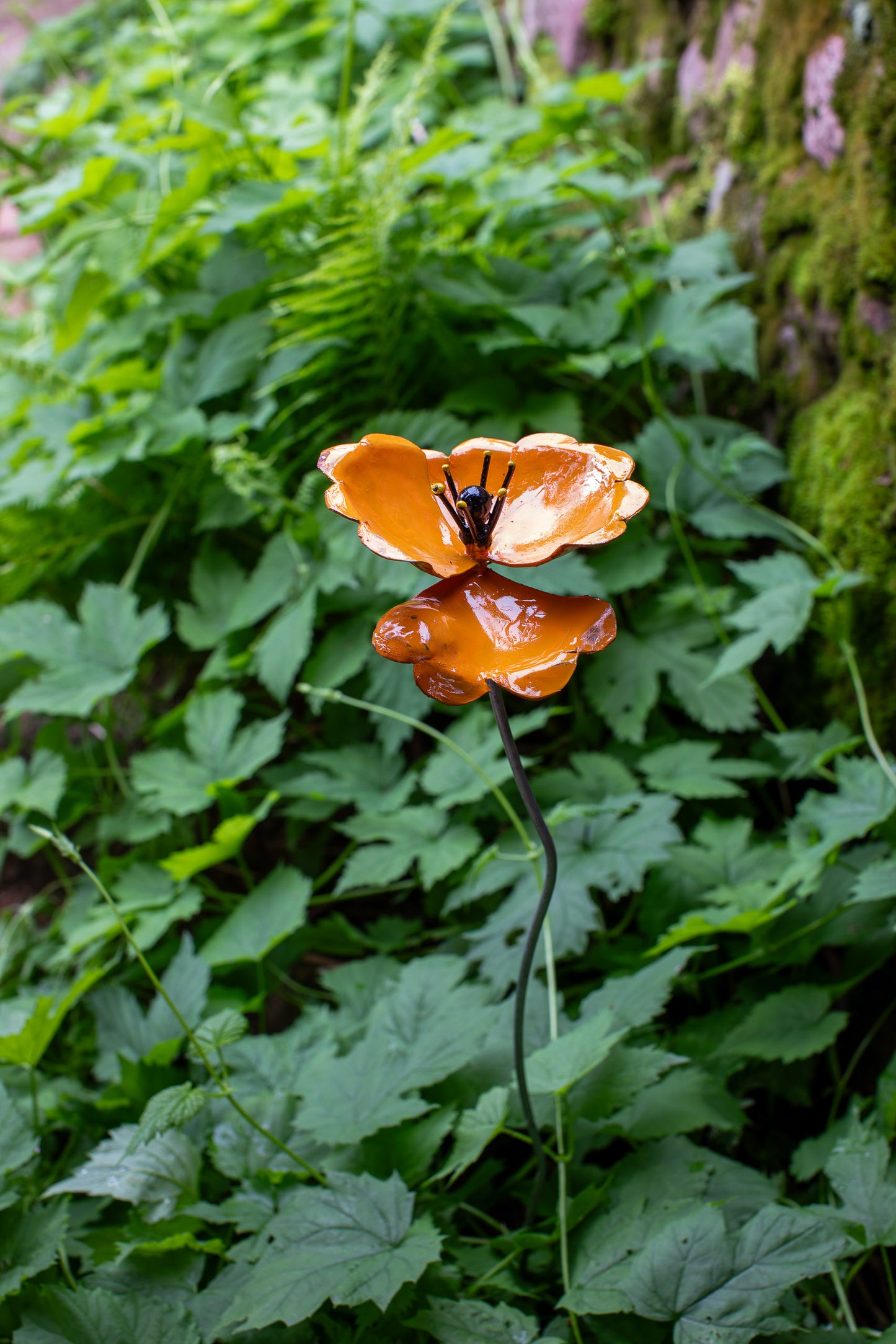Orange vallmo 72 cm återbruk