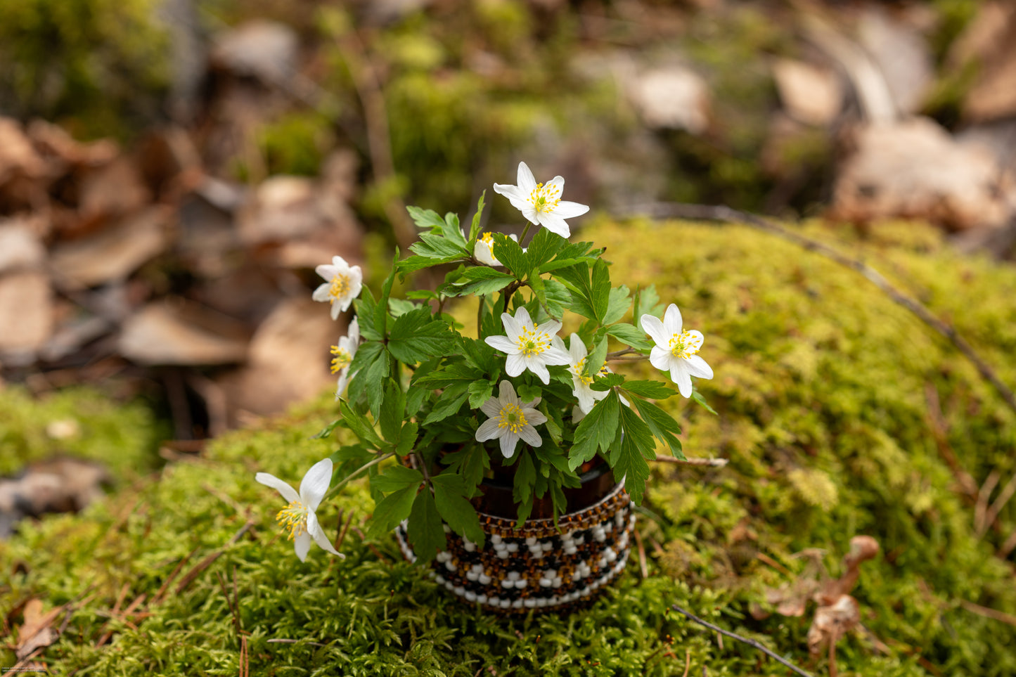 Pärlbroderad värmeljuslykta 5 cm brun återbruk