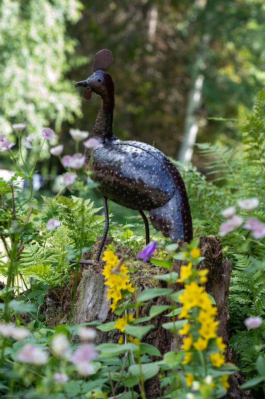 PÄRLHÖNA 52 cm återbruk