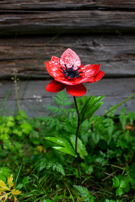 Röd anemon 45 cm återbruk