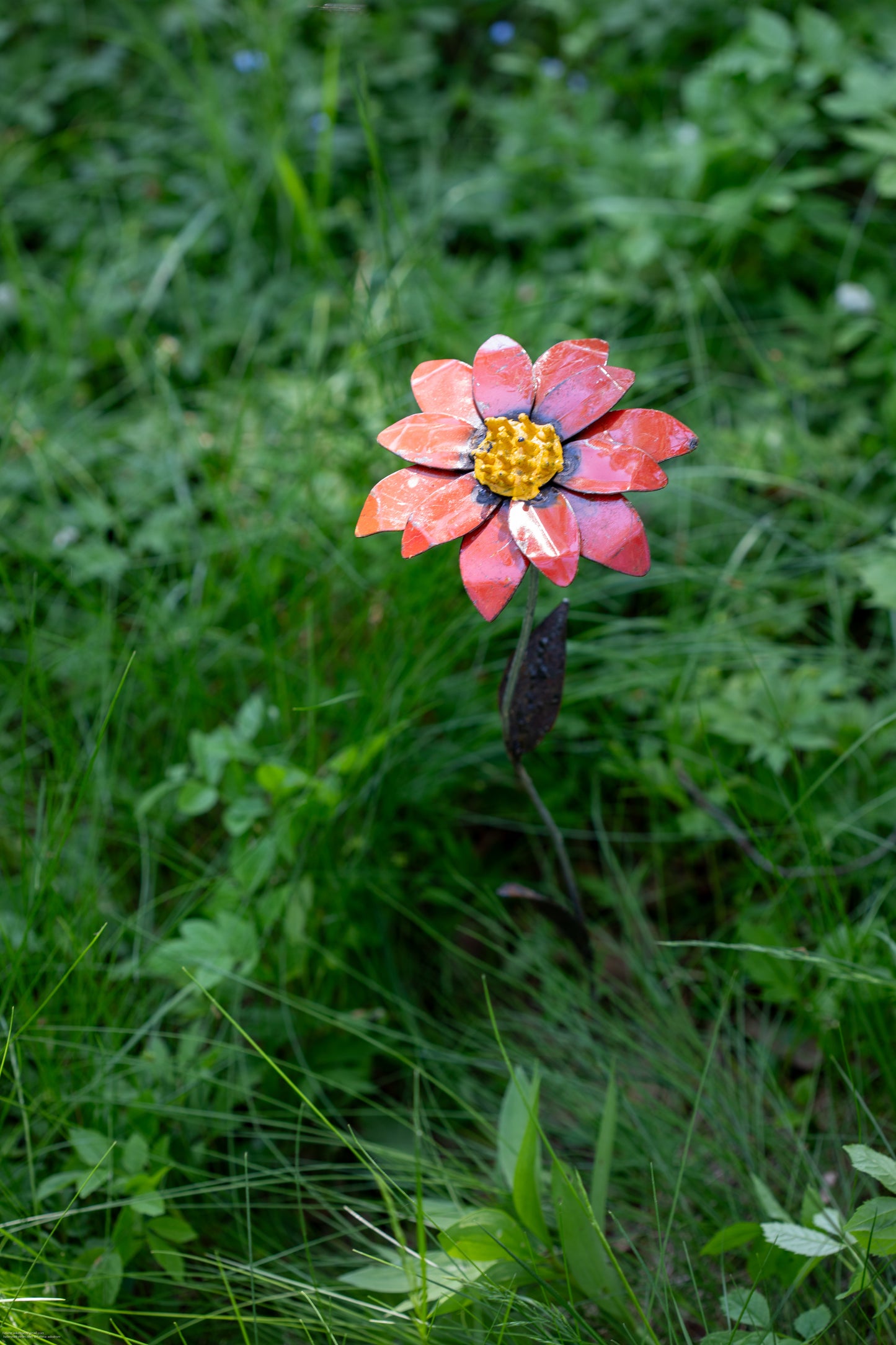 Röd aster 68 cm återbruk