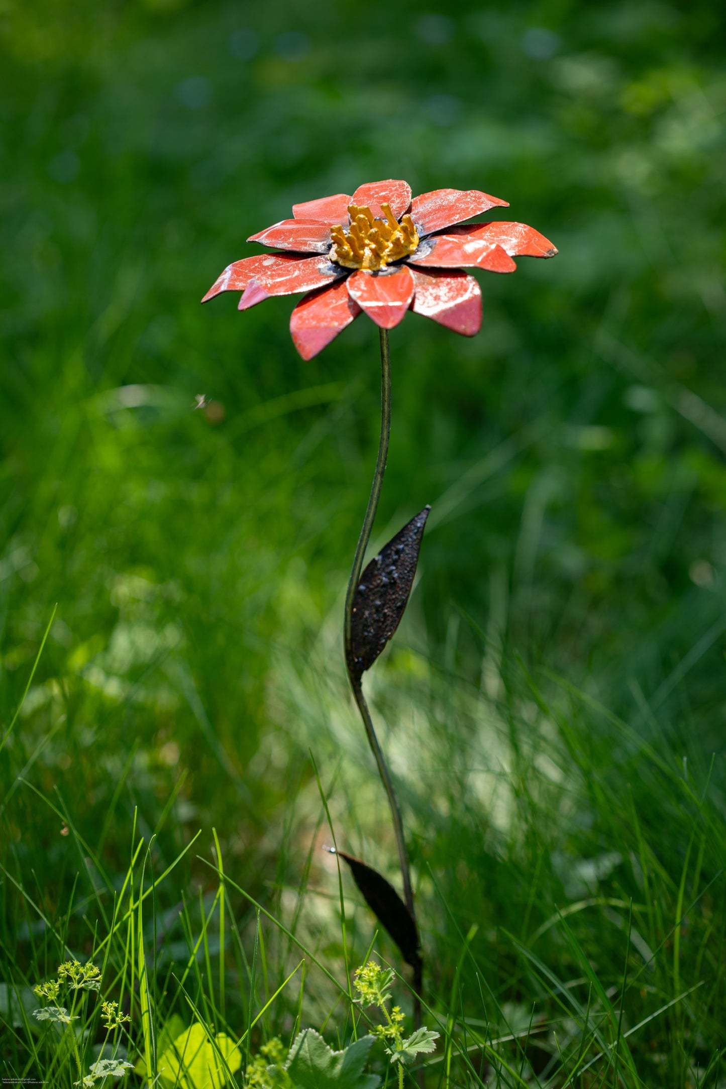 Röd aster 68 cm återbruk
