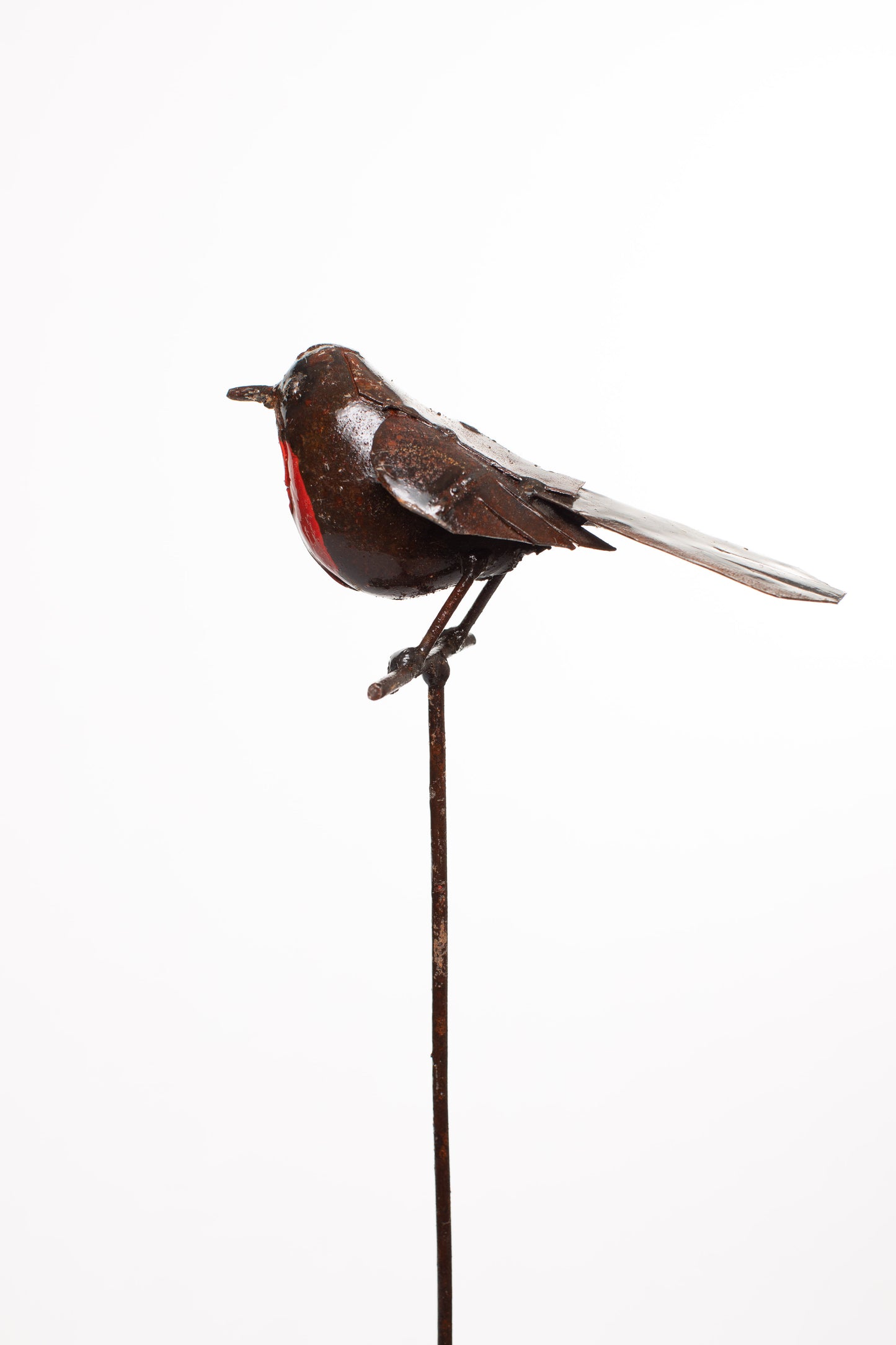 Röd fågel Robin på pinne återbruk
