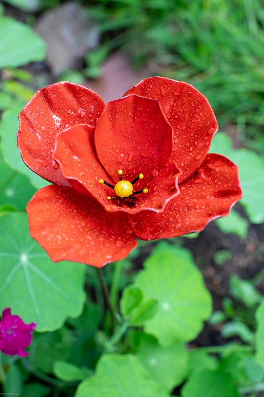 Röd fylld vallmo 74 cm återbruk