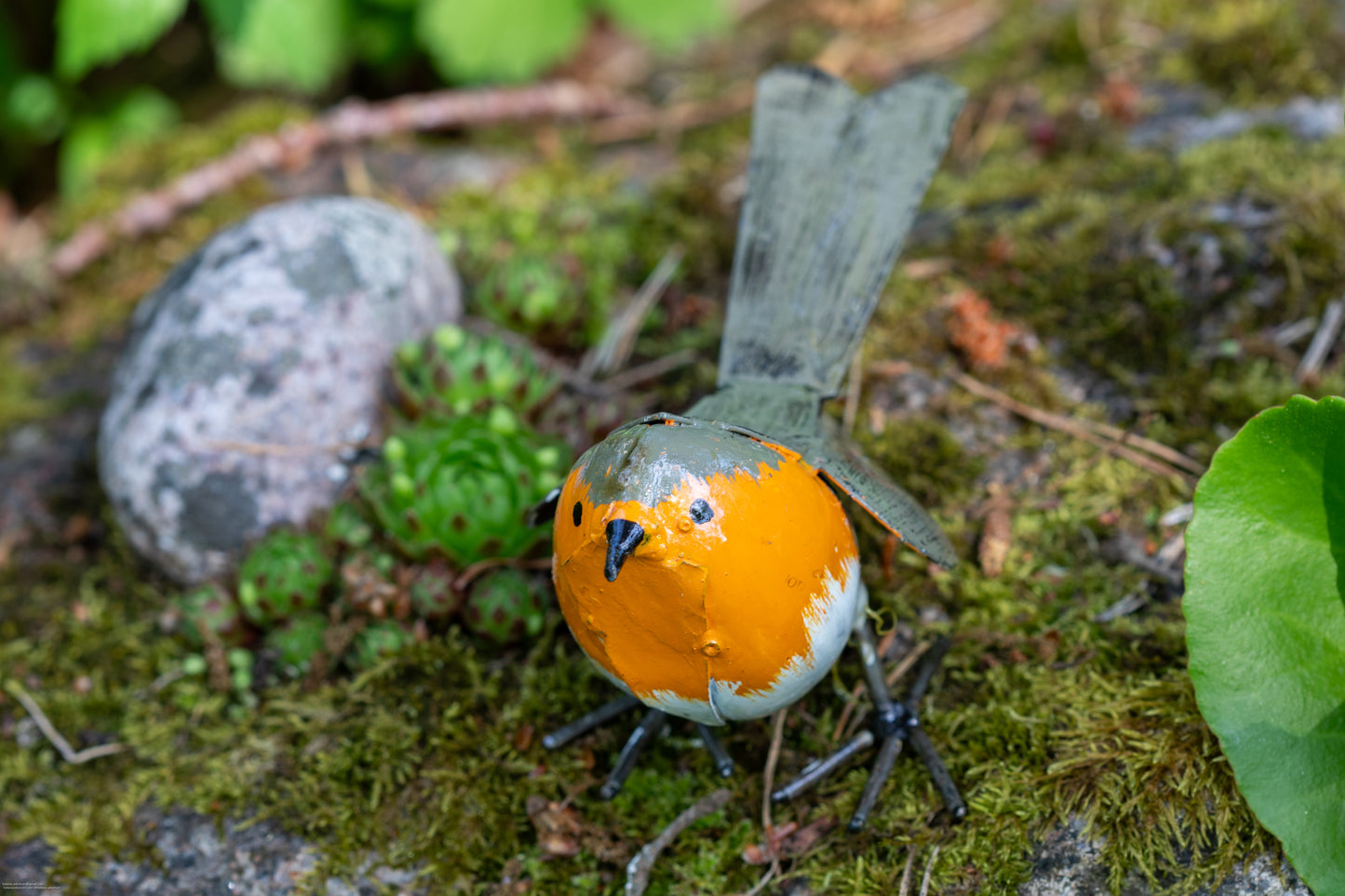 Rödhake 14 cm återbruk