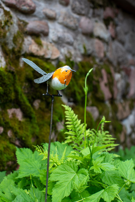 Rödhake på pinne återbruk