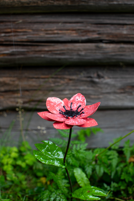 Rosa anemon 45 cm återbruk