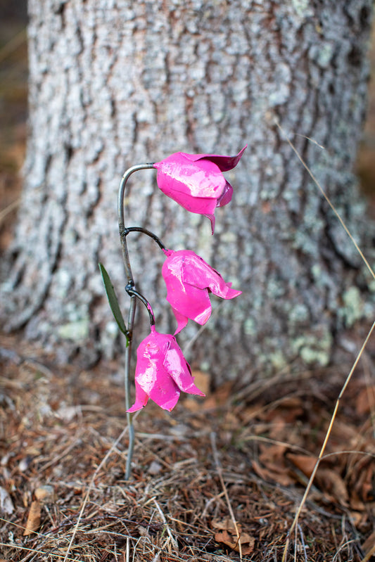 Rosa blåklocka återbruk