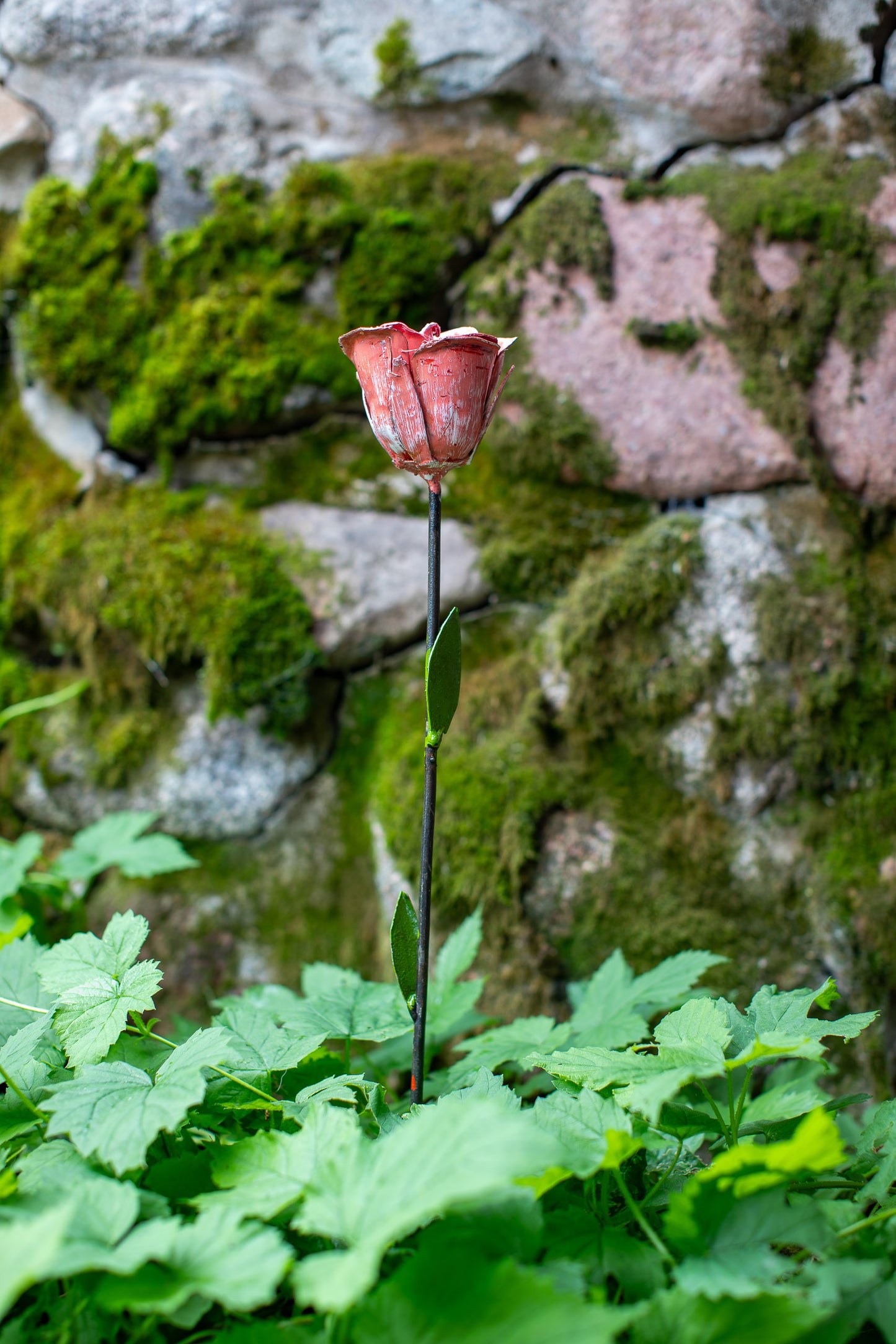 Rosa ros 56 cm återbruk