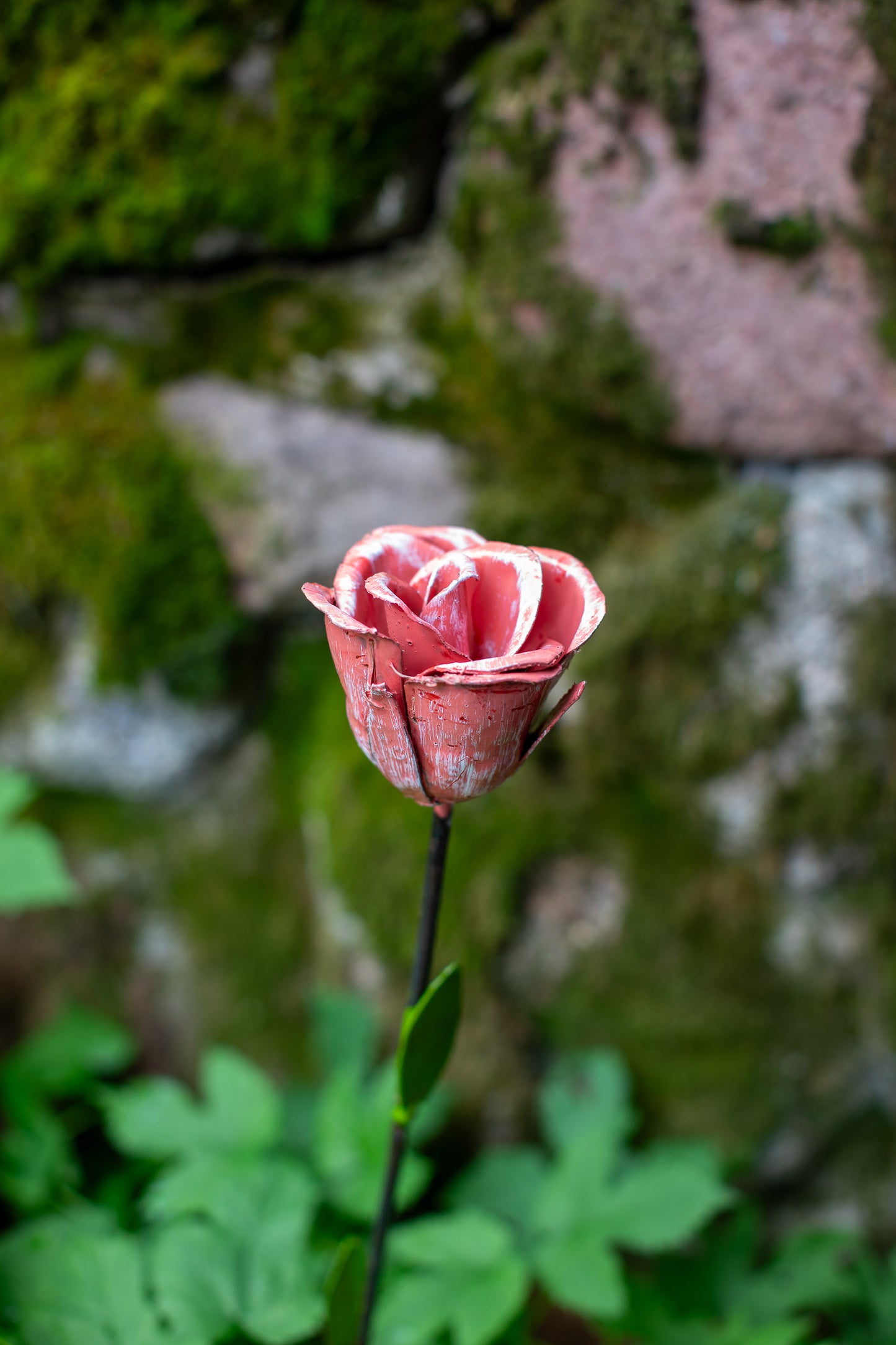 Rosa ros 56 cm återbruk
