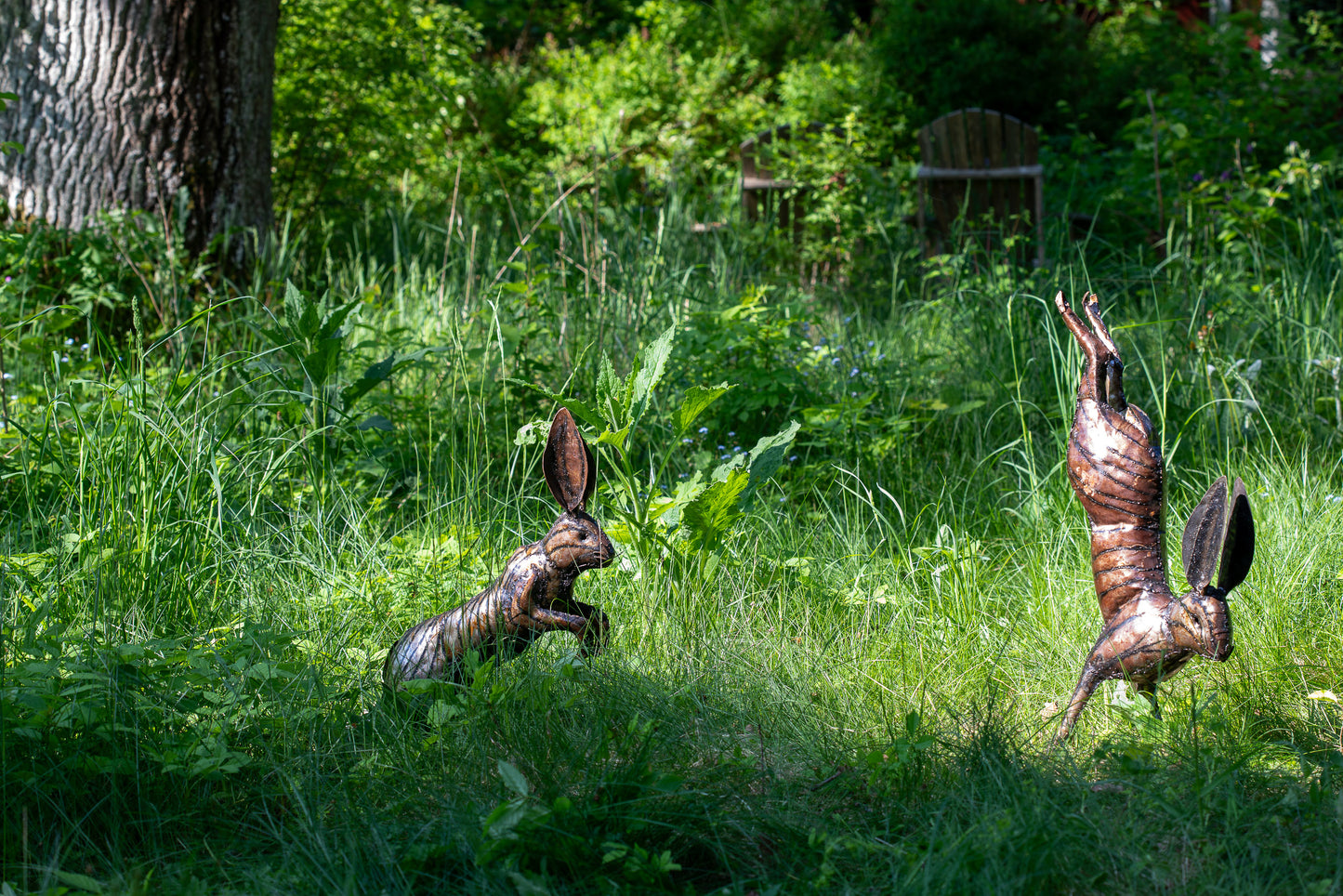 Skuttande hare ned återbruk