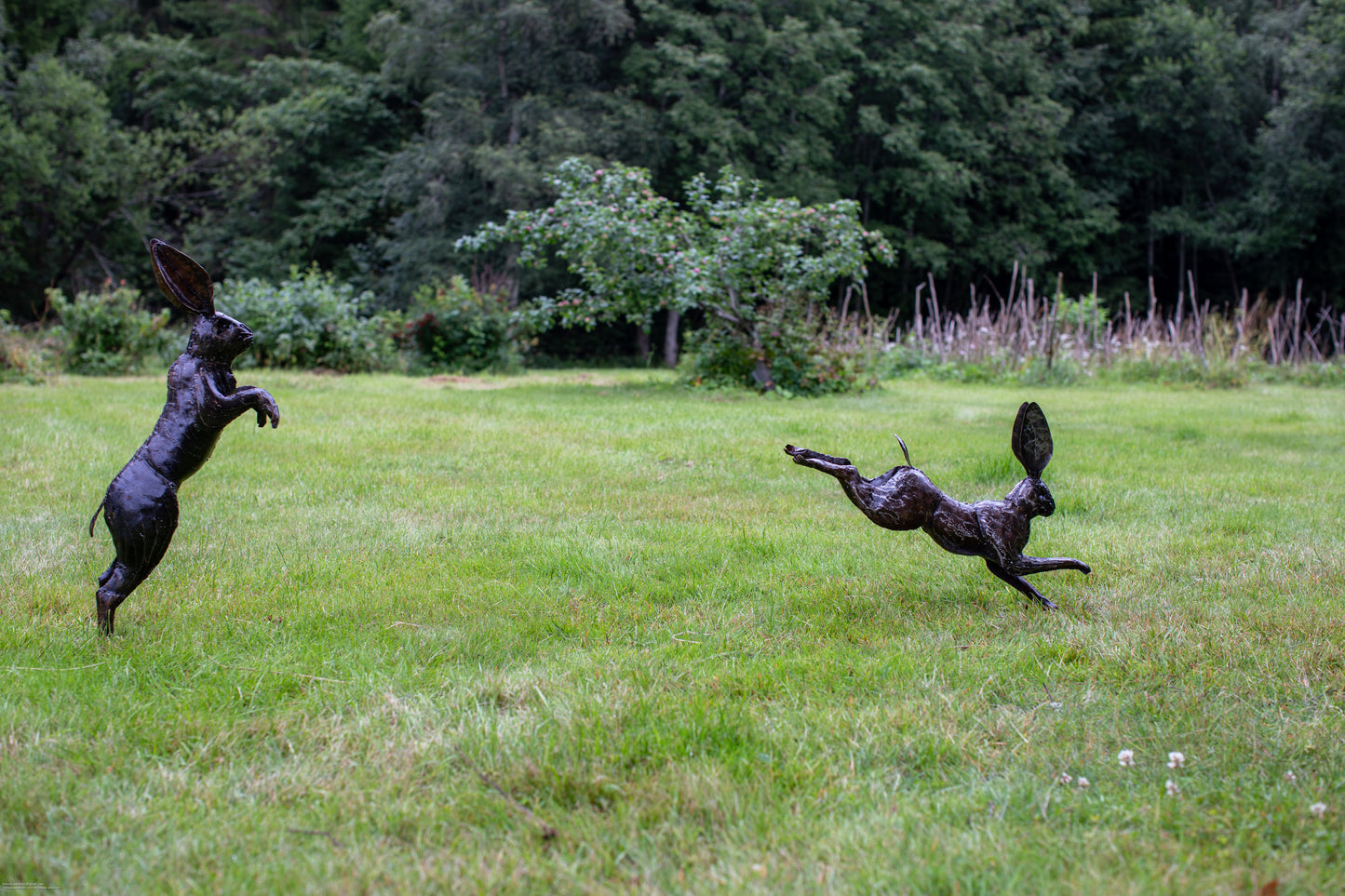 Skuttande hare upp återbruk