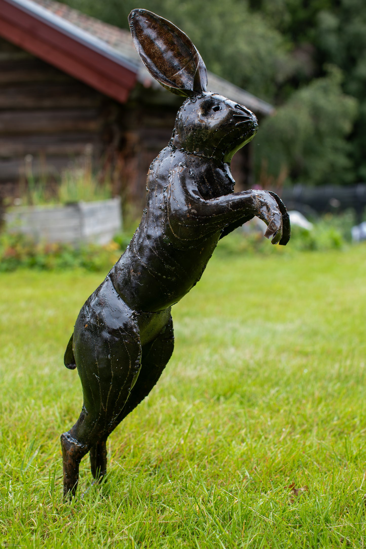 Skuttande hare upp återbruk